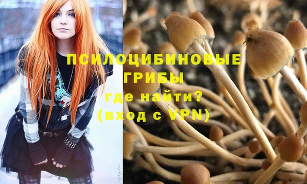 гашик Бугульма