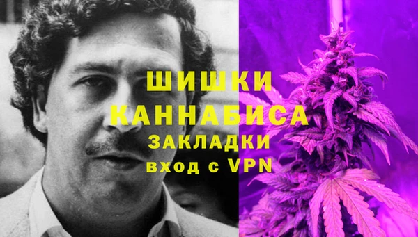 Альфа ПВП Бородино