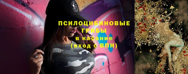 соль курить ск Богородск