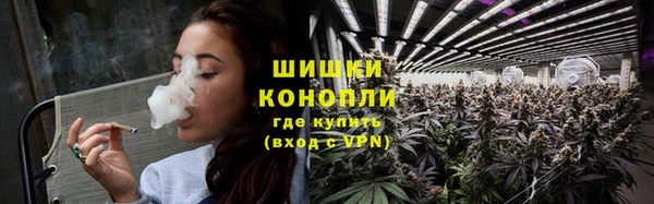 мдпв Богородицк