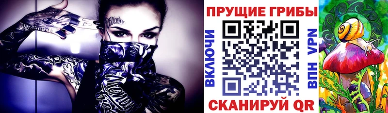 kraken маркетплейс  Воскресенск  Галлюциногенные грибы прущие грибы 